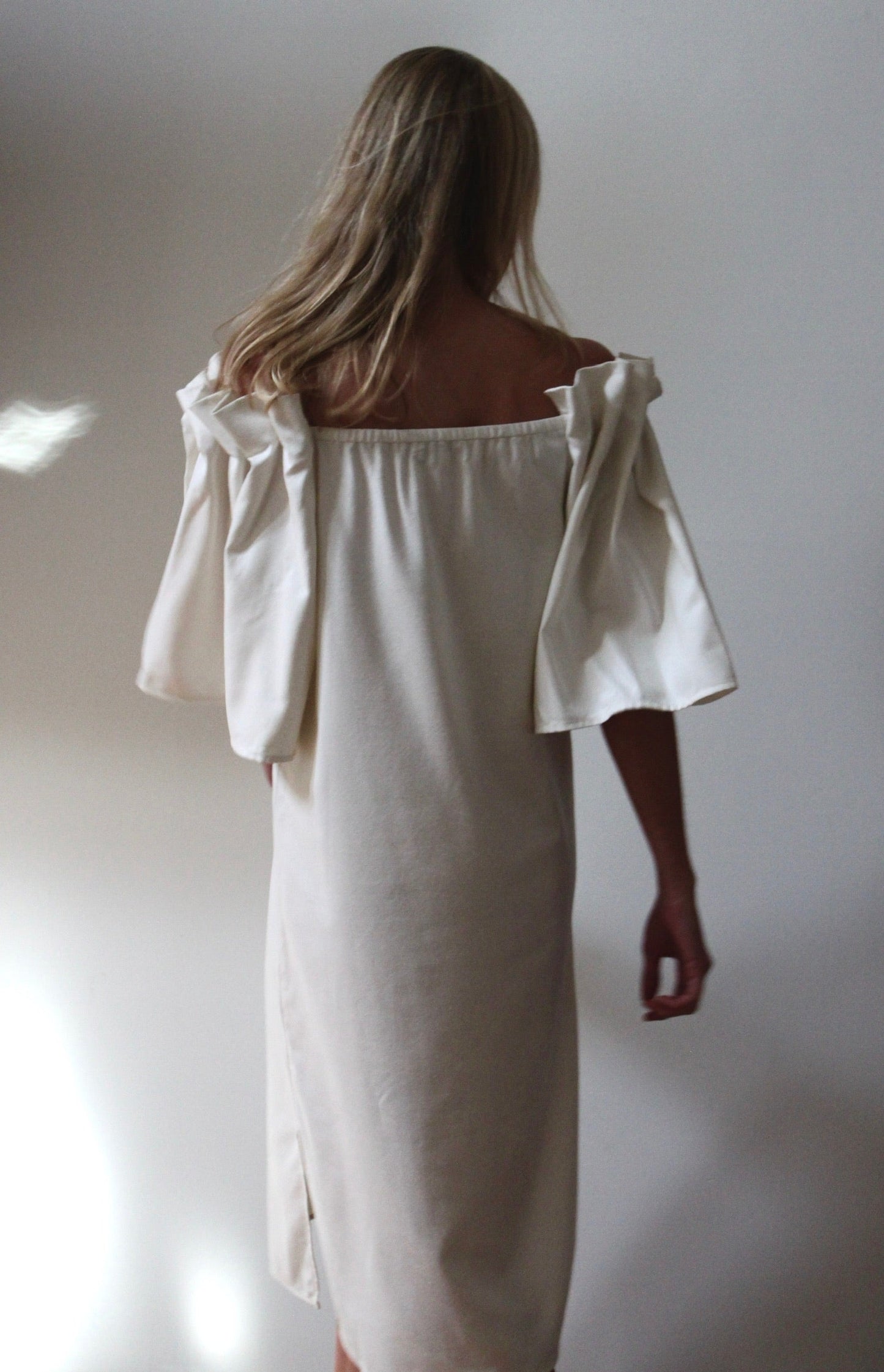 Talu Silk Canvas Dress